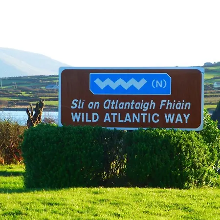 Bed and breakfast Seagull