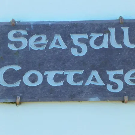 Bed & Breakfast Seagull 4*