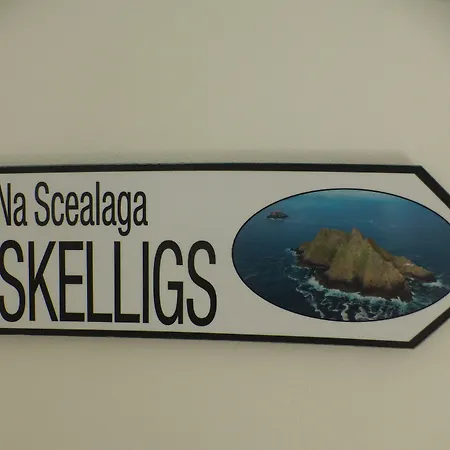 Seagull 4*