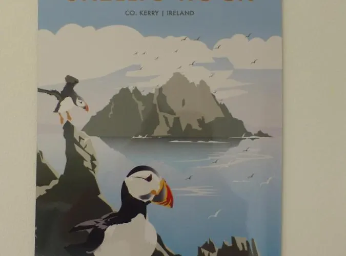 Seagull فندق مبيت وإفطار بورماغي