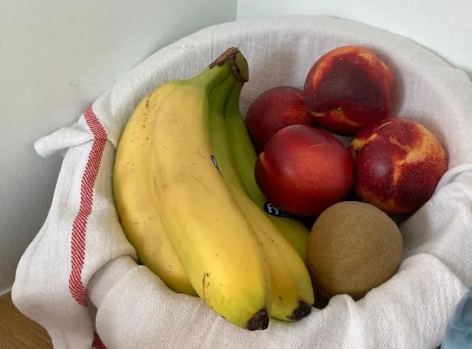 Seagull Bed & Breakfast