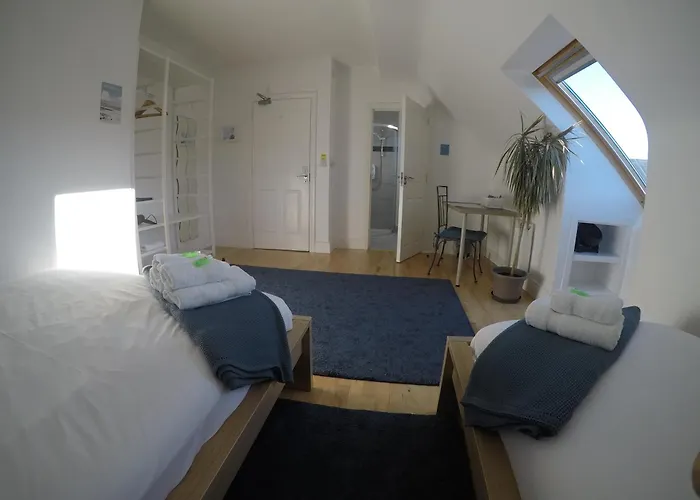 Seagull 4*
